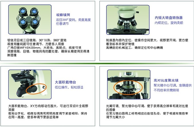 視頻生物顯微鏡